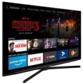 55 GUB 8040 Fire TV Edition, LED-Fernseher