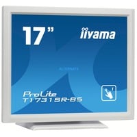 T1731SR-W5, LED-Monitor