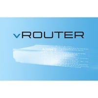 vRouter 1000 (200 VPN, 128 ARF, 1 Year), Lizenz