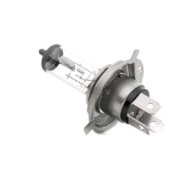 RIDEX Glühlampe, Fernscheinwerfer VW,AUDI,MERCEDES-BENZ 106B0003 1354888,43191200,ZF259010081  43191200,V43191200,43191200,030005050038,30005050038
