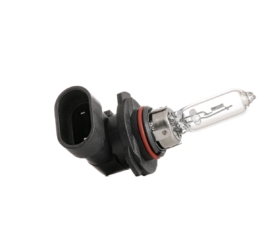 RIDEX Glühlampe, Fernscheinwerfer VW,AUDI,MERCEDES-BENZ 106B0007