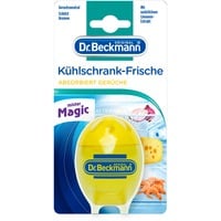 Kühlschrank-Frische, Limone, 40g, Reinigungsmittel