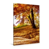 Premium Textil-Leinwand 80 cm x 120 cm hoch SCHÖNES SCHWERIN [4059477127778]