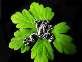 Anhänger Frosch, 21 x 15 mm, silberfarben, 5 Stück