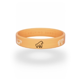 Helping Band The Big Five Armband