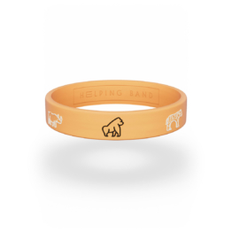 Helping Band The Big Five Armband