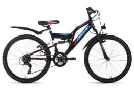 Zodiac 24"