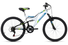 Zodiac 24"