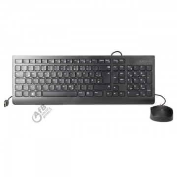 Lenovo Essential - Tastatur und Maus Set - kabelgebunden - Schwarz