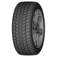 'Aplus A909 (225/45 R17 94W)'