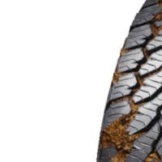 'General GRABBER AT3 (315/70 R17 121/118S)'