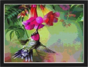 Rubye® Diamantmalerei Erwachsene - Diamantmalerei Kinder - Diamantmalerei Komplettpaket - Bunte Kolibris - 30x30cm