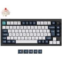 Q1 Max, Gaming-Tastatur