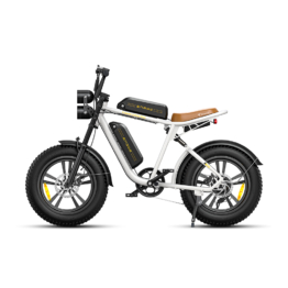 ENGWE M20 750W E-Bike mit Dual-Federung und großer Reichweite, 25KM/H