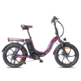 Fafrees F20 Pro Elektro-Faltrad,25KM/h