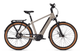 Kalkhoff Entice 5 Excite+ 625 Wh Herren grau 2024