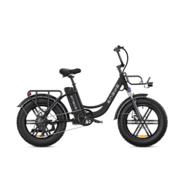 ENGWE L20 250W E-Bike mit Frontfederung und tiefem Einstieg, 25KM/H