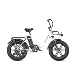 ENGWE L20 250W E-Bike mit Frontfederung und tiefem Einstieg, 25KM/H