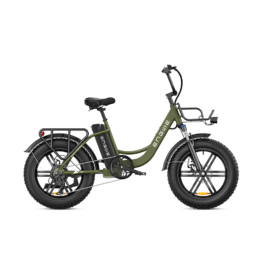 ENGWE L20 250W E-Bike mit Frontfederung und tiefem Einstieg, 25KM/H