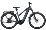 Riese & Müller Charger4 GT Vario 750Wh Damen Mixte blau