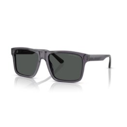 Männer Sonnenbrille Emporio Armani EA 4232