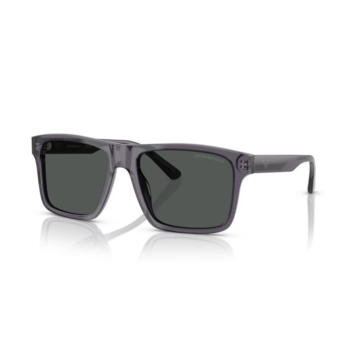 Männer Sonnenbrille Emporio Armani EA 4232