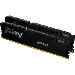 Kingston Technology FURY Beast memory module