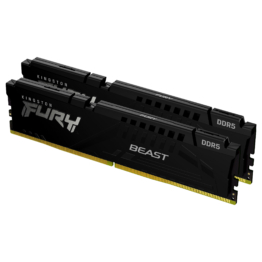 Kingston Technology FURY Beast memory module
