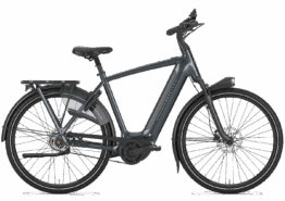 Gazelle Arroyo C5 Elite 600 Wh Herren grau 2026