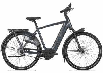 Gazelle Arroyo C5 Elite 600 Wh Herren grau 2026