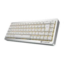 RAIJINTEK MGA-68 (silber, DE-Layout, Hejin Magnetic Yellow)