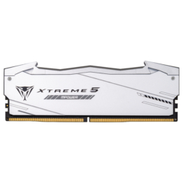 Patriot Memory Viper Xtreme 5 RGB memory module